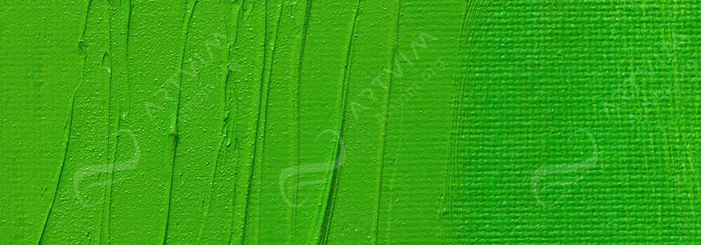 ART SPECTRUM : ARTISTS' OIL PAINT CADMIUM GREEN