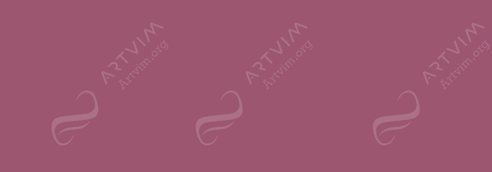 COPIC : CIAO MARKER PEONY