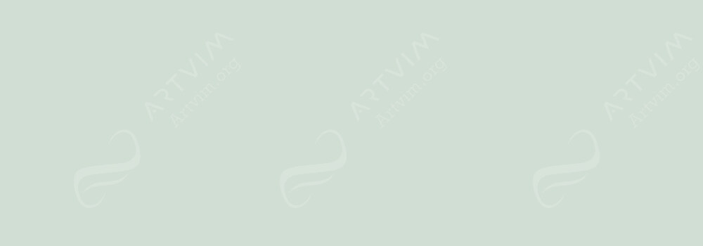 DALER ROWNEY : ARTISTS' SOFT PASTELS GREEN GREY 1