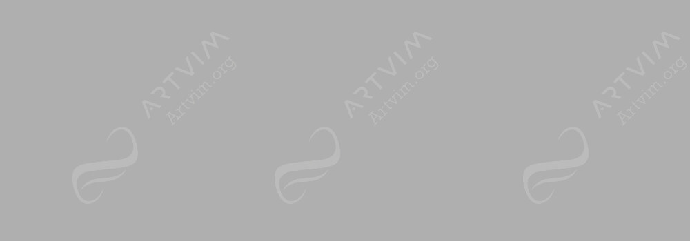 VALLEJO : PREMIUM AIRBRUSH PAINT METALLIC SILVER