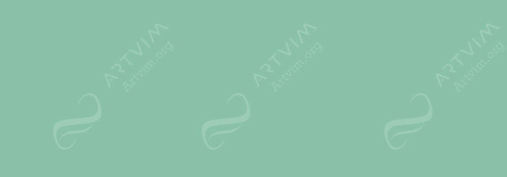 COPIC : CIAO MARKER VERDIGRIS