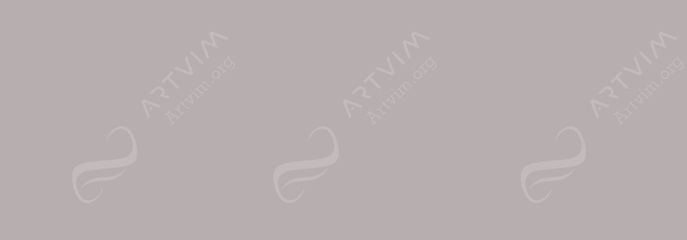 FABER-CASTELL : PITT ARTIST BRUSH PEN WARM GREY III