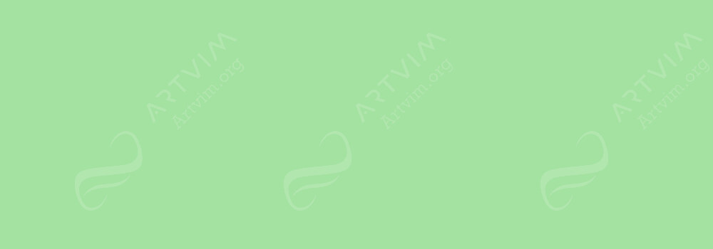 CARAN D'ACHE : SUPRACOLOR SOFT WATERSOLUBLE ARTIST'S PENCILS LIGHT GREEN