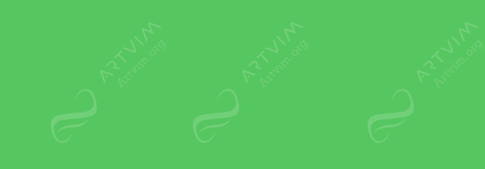 COPIC : CIAO MARKER LETTUCE GREEN