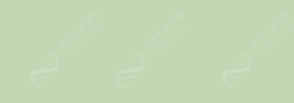 COPIC : CIAO MARKER SPRING DIM GREEN