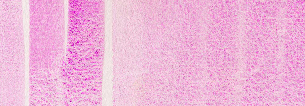 DANIEL SMITH : EXTRA FINE WATERCOLOUR PAINT COBALT VIOLET