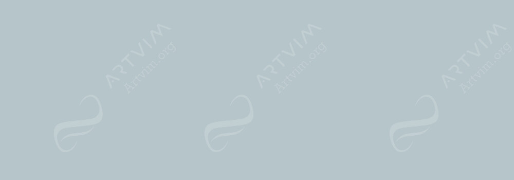 CARAN D'ACHE : NEOCOLOR II ARTISTS' WATERCOLOUR CRAYONS LIGHT GREY