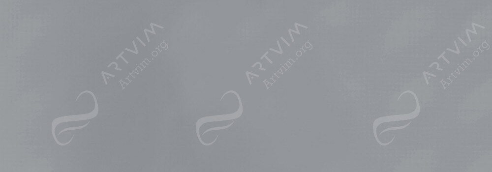 ZIELER : PREMIUM ACRYLIC PAINT GREY