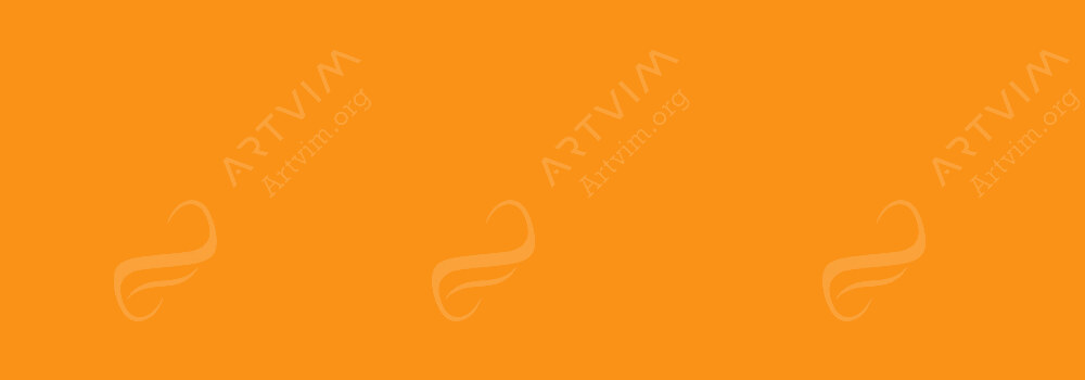 CARAN D'ACHE : CLASSIC NEOCOLOR I ORANGE