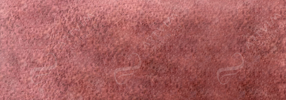 CARAN D'ACHE : MUSEUM AQUARELLE PENCILS BURNT SIENNA 50%