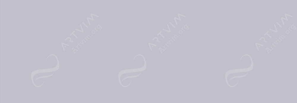 SHINHAN : TOUCH LINERS COOL GREY