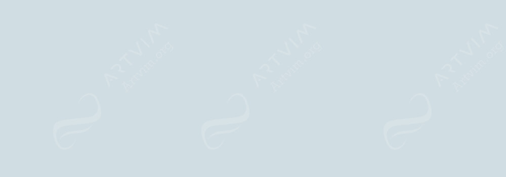 COPIC : CIAO MARKER COOL GREY NO.1