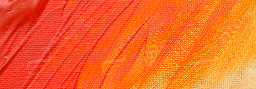 ARTA : STUDIO ACRYLIC PAINT CADMIUM ORANGE HUE