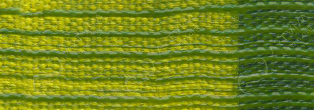 GOLDEN : HEAVY BODY ACRYLIC PAINT GREEN GOLD