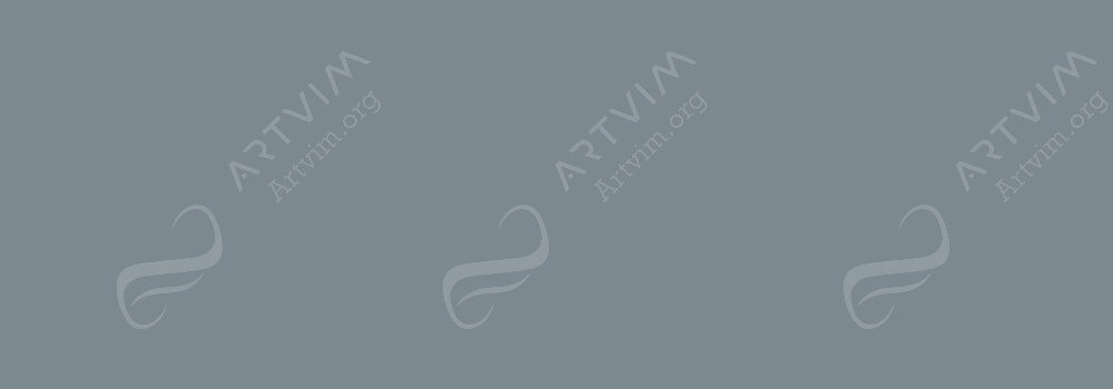 CARAN D'ACHE : PABLO PENCILS GREY 005