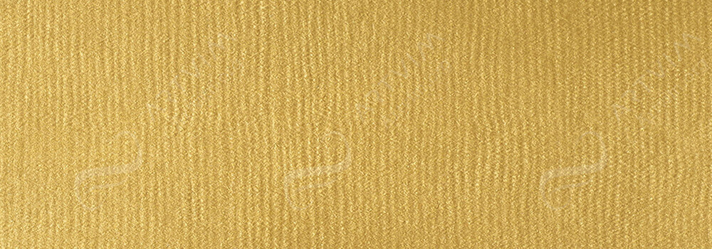 LIQUITEX : PROFESSIONAL SOFT BODY ACRYLIC PAINT IRIDESCENT BRIGHT GOLD