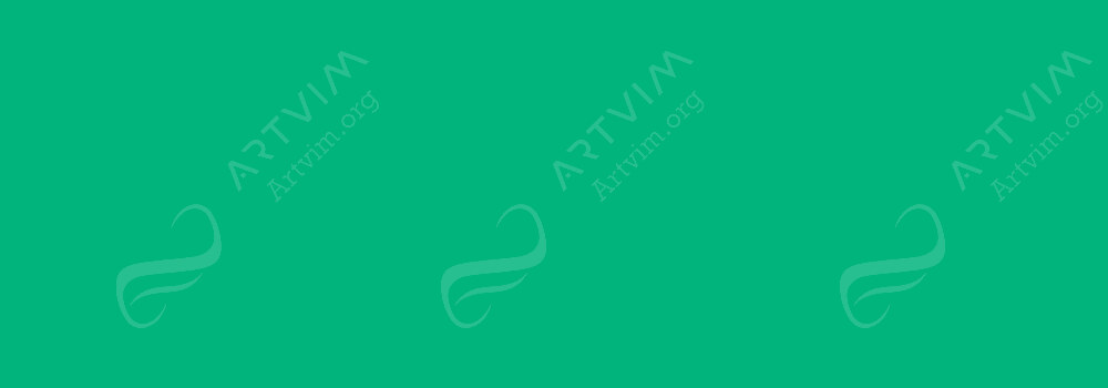 COPIC : CIAO MARKER FOREST GREEN