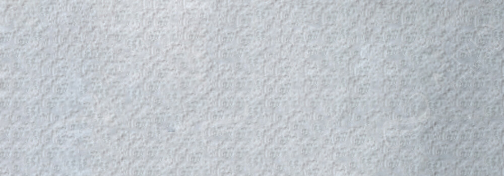 CARAN D'ACHE : MUSEUM AQUARELLE PENCILS STEEL GREY