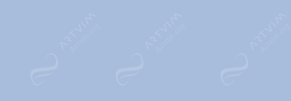 COPIC : CIAO MARKER GRAYISH LAVENDER