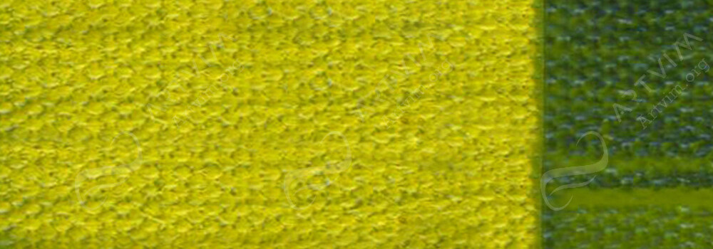 GOLDEN : FLUID ACRYLIC PAINT GREEN GOLD