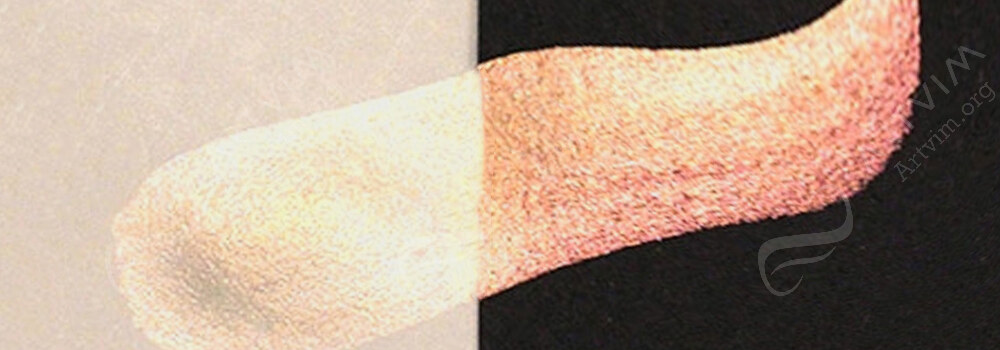 COLIRO : PEARLCOLORS MICA WATERCOLOUR PAINTS COPPER PEARL