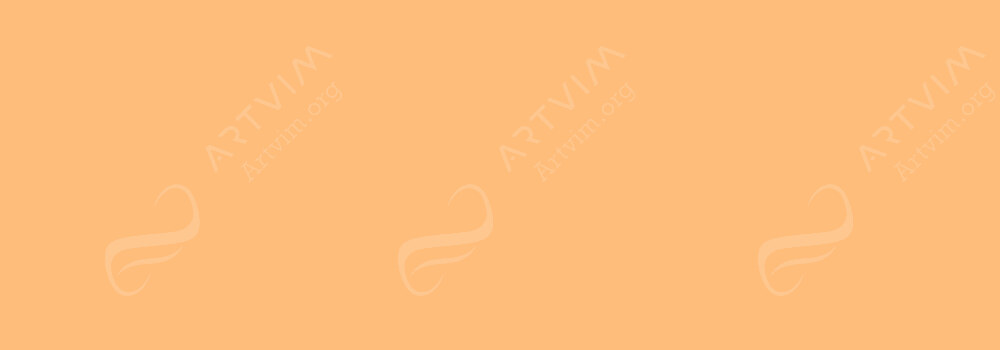 COPIC : CIAO MARKER TEA ORANGE