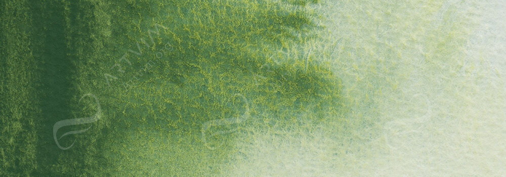 JACKSON'S : ARTIST WATERCOLOUR PAINT PERMANENT SAP GREEN