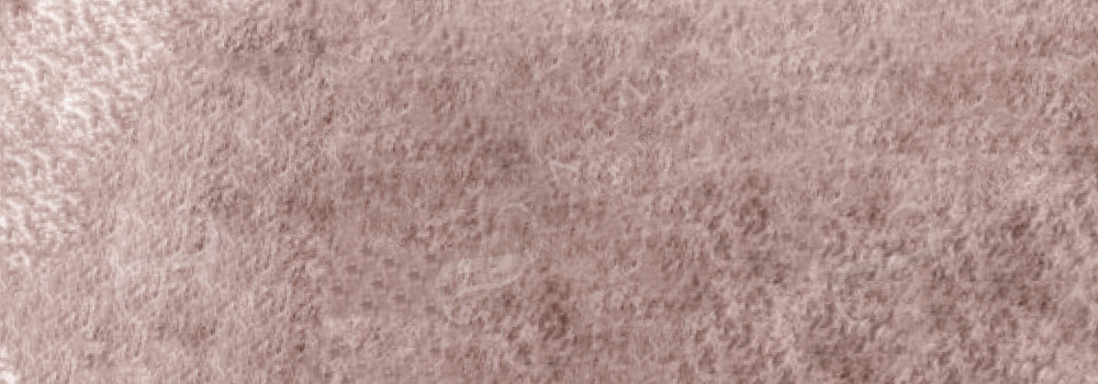 CARAN D'ACHE : MUSEUM AQUARELLE PENCILS SEPIA 10%