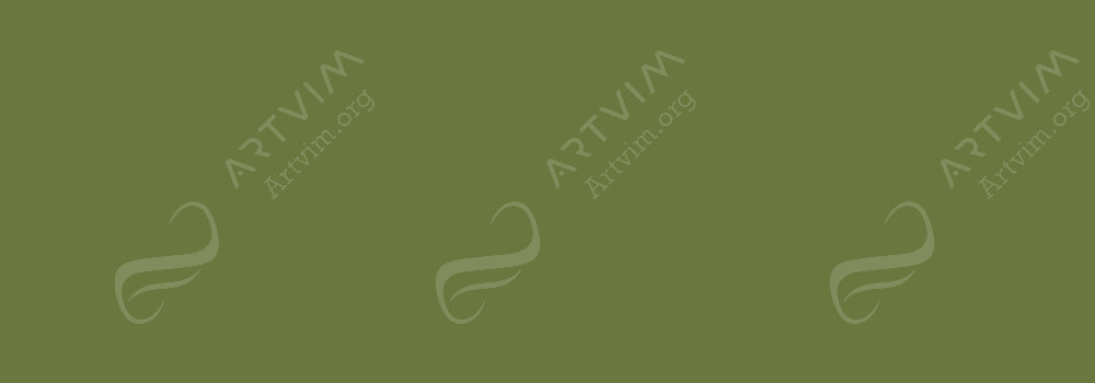 CARAN D'ACHE : SUPRACOLOR SOFT WATERSOLUBLE ARTIST'S PENCILS OLIVE GREY