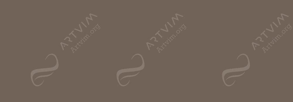 CARAN D'ACHE : LUMINANCE COLOUR PENCILS SEPIA