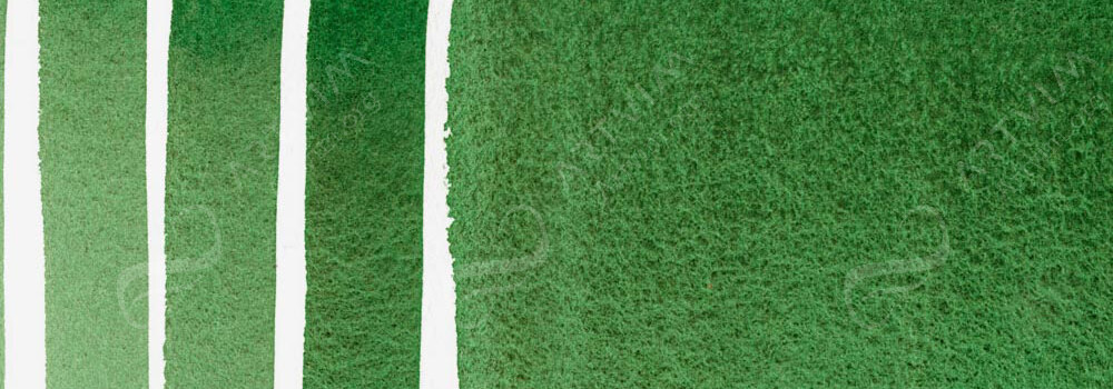 DANIEL SMITH : EXTRA FINE WATERCOLOUR PAINT JADEITE GENUINE