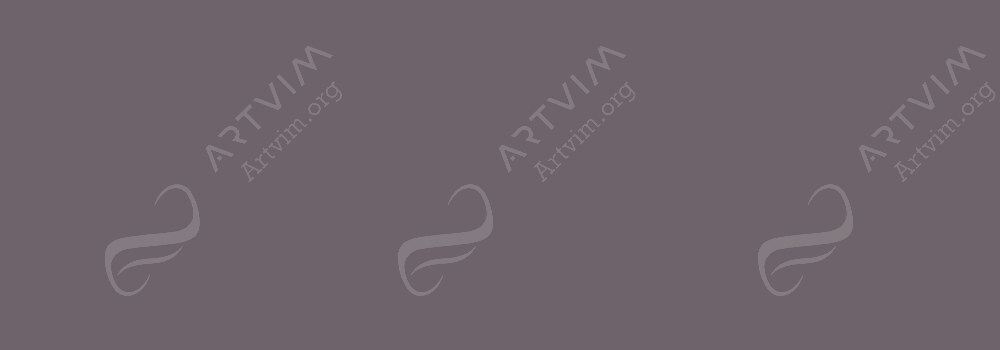 CARAN D'ACHE : PASTEL PENCILS VIOLET GREY