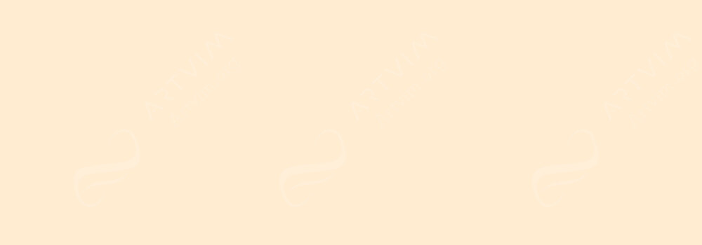 AKASHIYA : SAI COLOURING BRUSH PENS PALE ORANGE