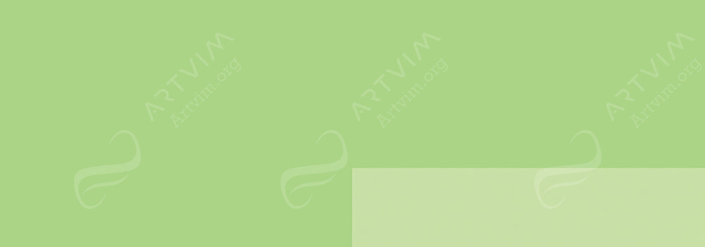 LEFRANC BOURGEOIS : FLASHE VINYL EMULSION PAINT BRIGHT GREEN