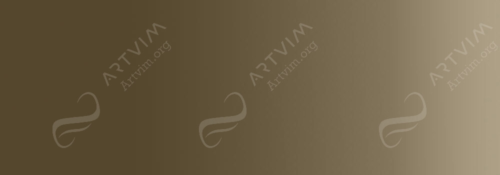 DR PH. MARTIN'S : HYDRUS LIQUID WATERCOLOUR PAINT SEPIA