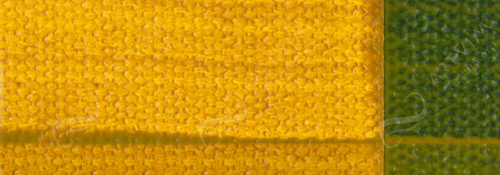 GOLDEN : FLUID ACRYLIC PAINT NICKEL AZO YELLOW