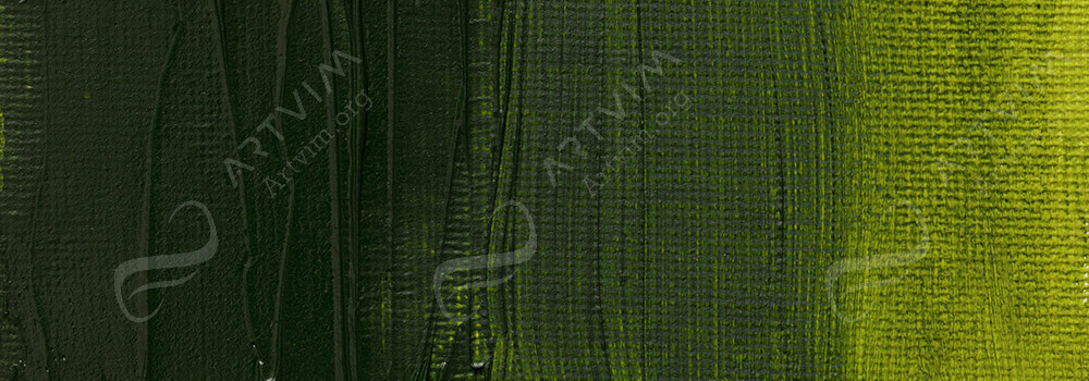 ART SPECTRUM : ARTISTS' OIL PAINT AUSTRALIAN LEAF GREEN DARK