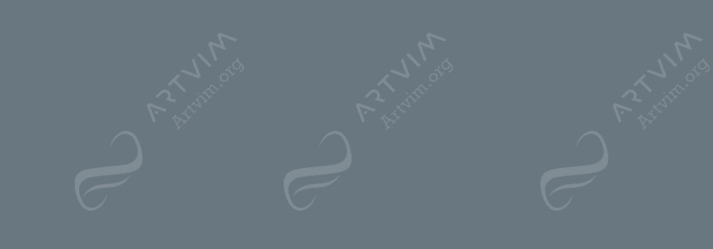 CARAN D'ACHE : PABLO PENCILS GREYISH BLACK 008