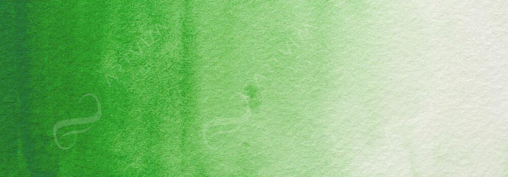 HOLBEIN : ARTISTS' WATERCOLOUR PAINT PERMANENT GREEN 2