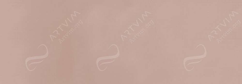 ZIELER : PREMIUM ACRYLIC PAINT FLESH TINT