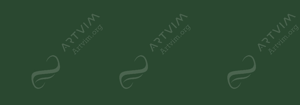 CARAN D'ACHE : PABLO PENCILS OLIVE BLACK 019