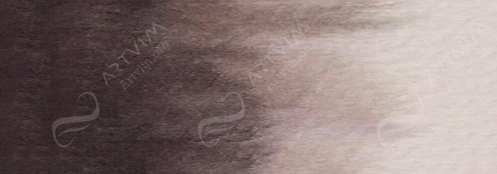 ISARO : WATERCOLOUR PAINT VAN DYKE BROWN