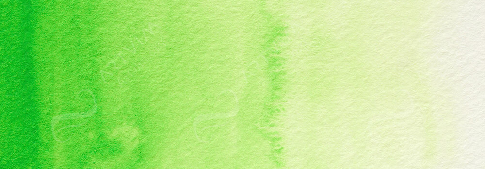 HOLBEIN : ARTISTS' WATERCOLOUR PAINT CADMIUM GREEN PALE