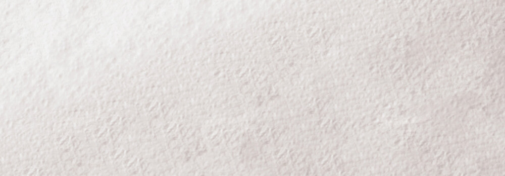 CARAN D'ACHE : MUSEUM AQUARELLE PENCILS WHITE