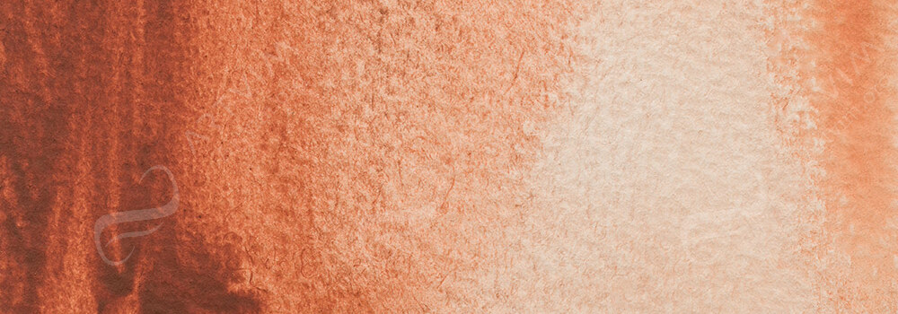 JACKSON'S : ARTIST WATERCOLOUR PAINT BURNT SIENNA