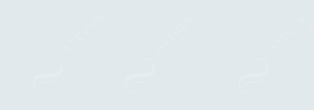 CARAN D'ACHE : PASTEL PENCILS LIGHT GREY