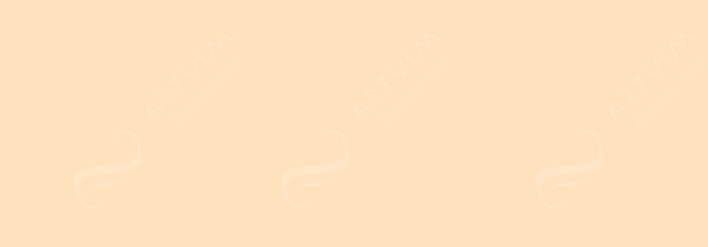 FABER-CASTELL : PITT ARTIST BRUSH PEN APRICOT