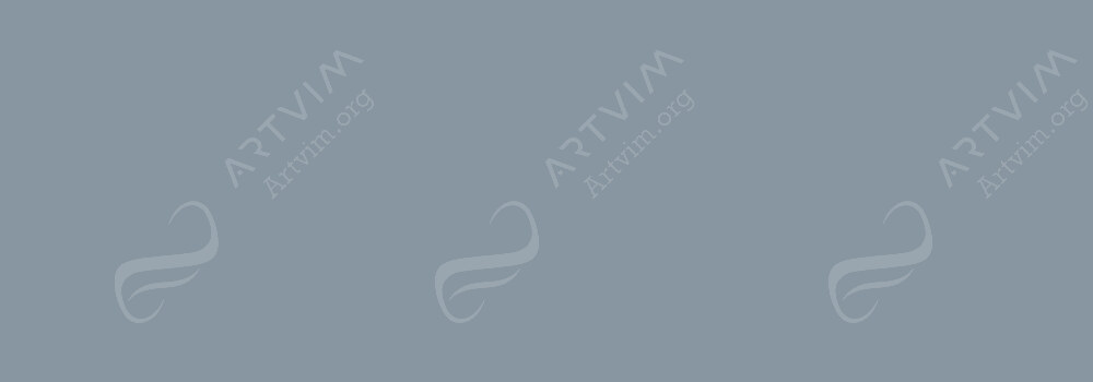 CARAN D'ACHE : CLASSIC NEOCOLOR I GREY