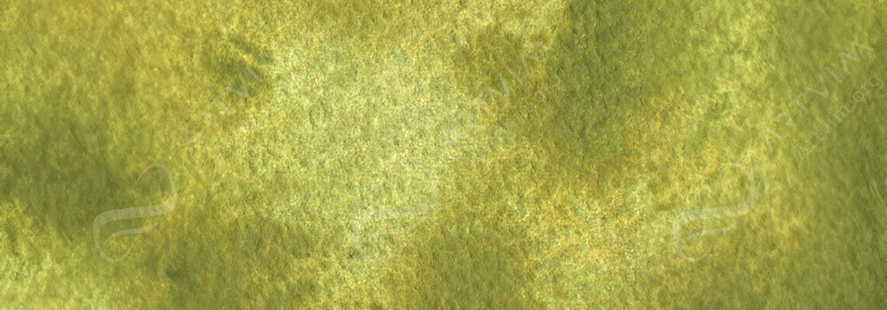 HOLBEIN : GRANULATING WATERCOLOUR PAINT JP BUSH WARBLER GREEN