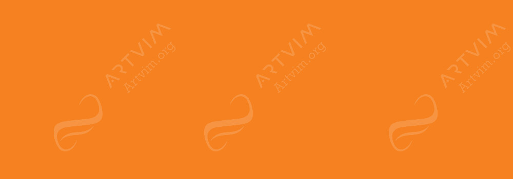 CARAN D'ACHE : NEOCOLOR II ARTISTS' WATERCOLOUR CRAYONS ORANGE